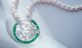 轩灵x 梦入花岛•轩窗